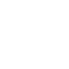 icon 1 1