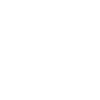 icon 1 1