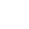icon 1 1